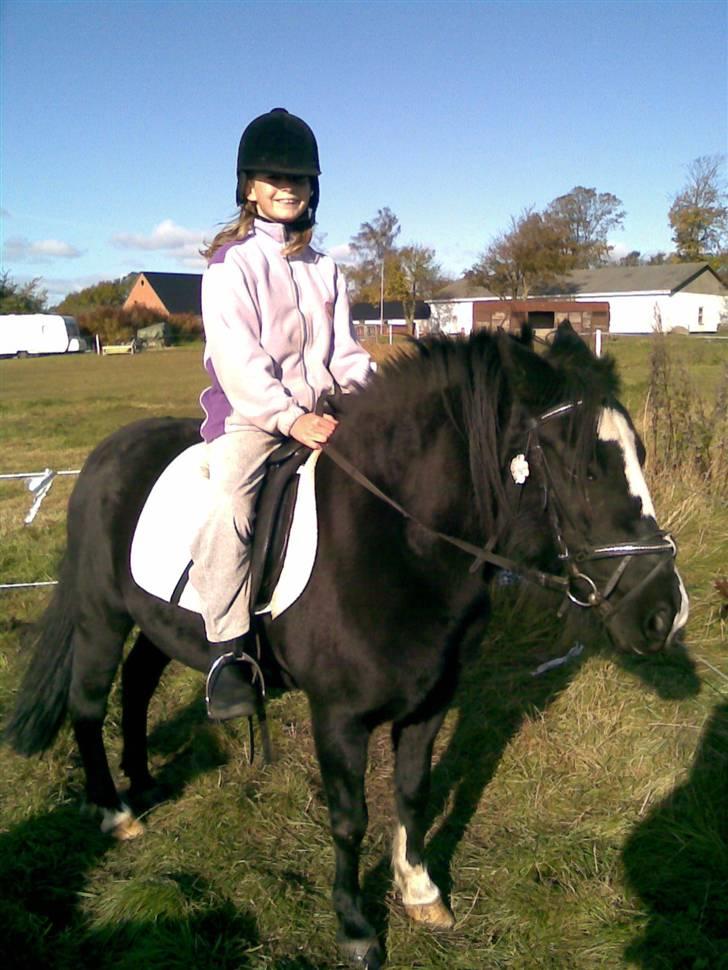 Anden særlig race Blackie billede 6