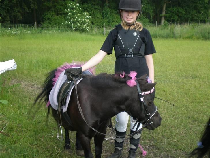 Shetlænder miss pinky - pink ;) sommer 09 billede 3
