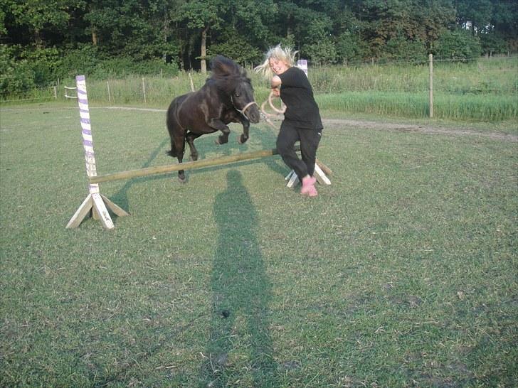 Shetlænder miss pinky - pinky kan fanme springe!!! :D sommer 2010 billede 5