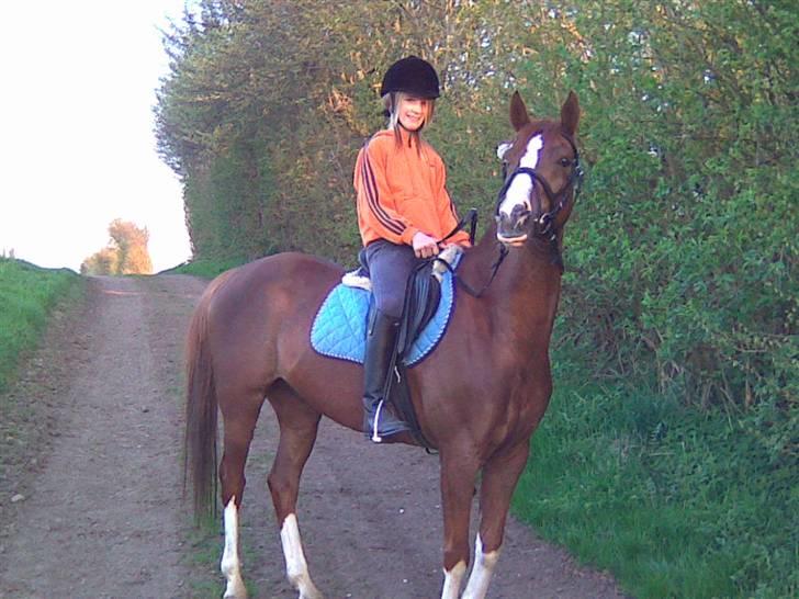 Sportsaraber (A) Iwan (four socks) billede 9