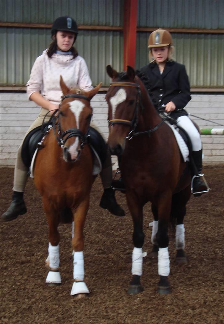 Anden særlig race Nikolaj - Master og Nikolaj :) billede 16