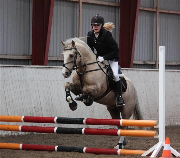 Irsk Sportspony Triple Gold(:  - Stævne i HES :D Foto Louise :b billede 16