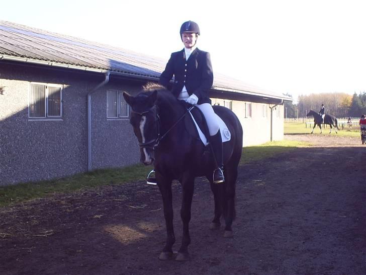 Oldenborg Tamara Sejr  - Stævne i Grindsted billede 9