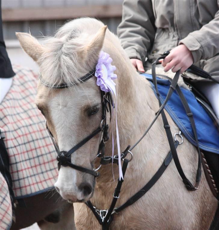 Irsk Sportspony Triple Gold(:  - Stævne i HES ;D 4. plads Foto: Louise :D billede 18