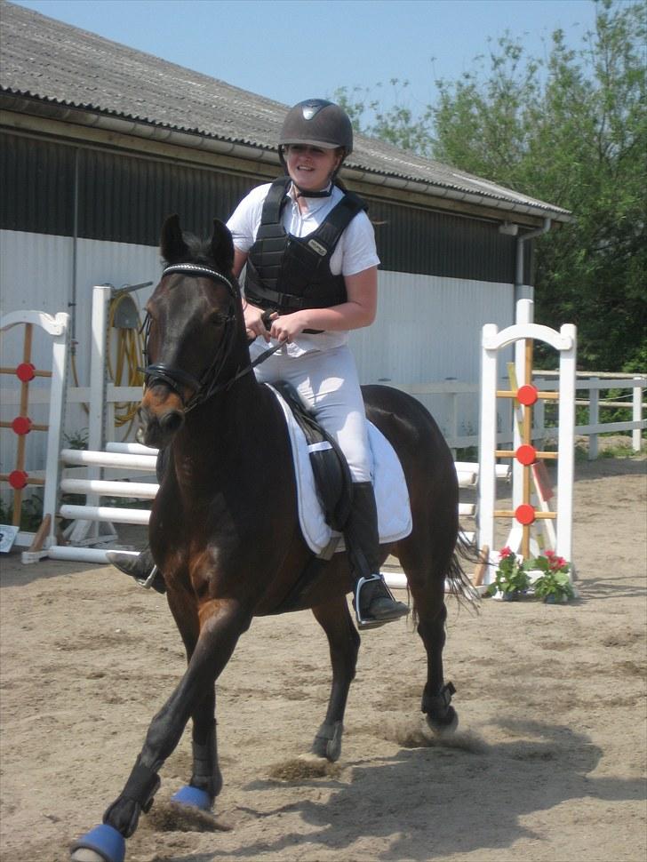 Anden særlig race Kingston's Zolo - Efter en super 0 runde på 80 cm :) TSR klubstævne billede 4