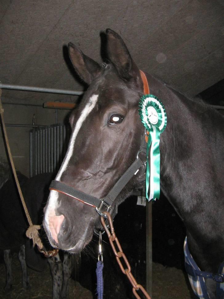 Oldenborg Tamara Sejr  - Stævne i Skjern, 3 Plads i LC1 :) billede 11