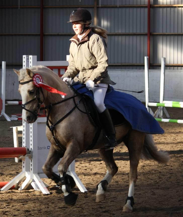 Irsk Sportspony Triple Gold(:  - Stævne i HES :D Min lille præmie pony :D! Foto: Far ;b billede 20