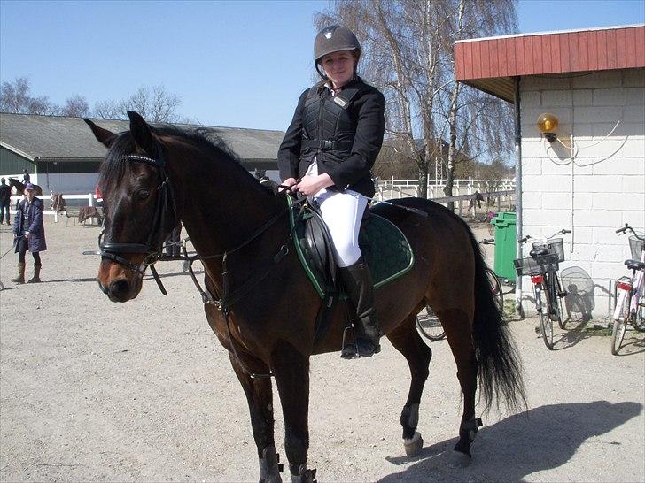 Anden særlig race Kingston's Zolo - TSR sløjfespring d. 10/4 - 2011 billede 1