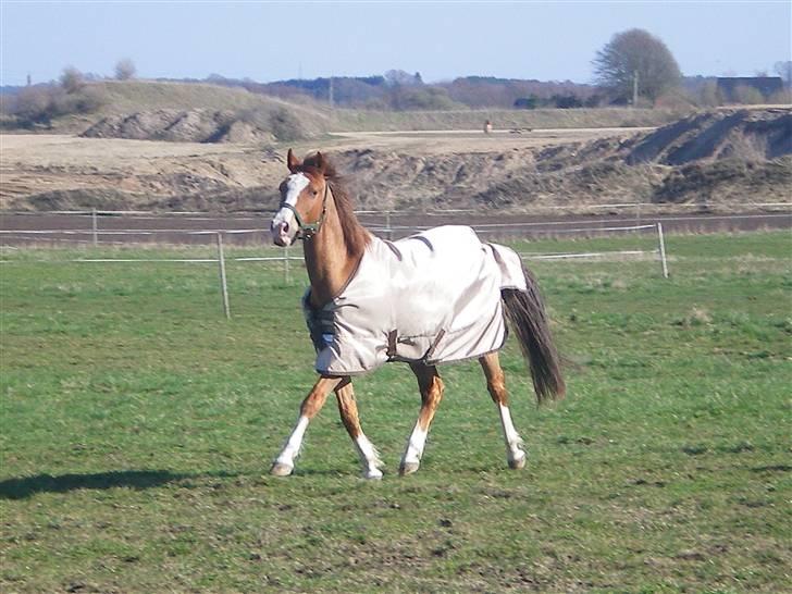 DSP ZIWAGO - Velkommen til Ziwago´s profil :) billede 1