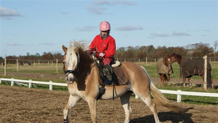 Haflinger Mirabell   (Storesøsters) - Mig der rider på hende <3 billede 6