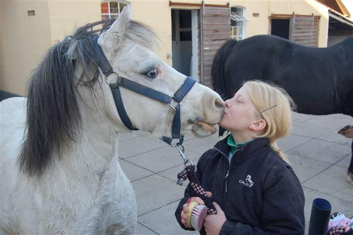Anden særlig race Carlos<3 *gammel Passer* - kys kys.. <33 billede 8