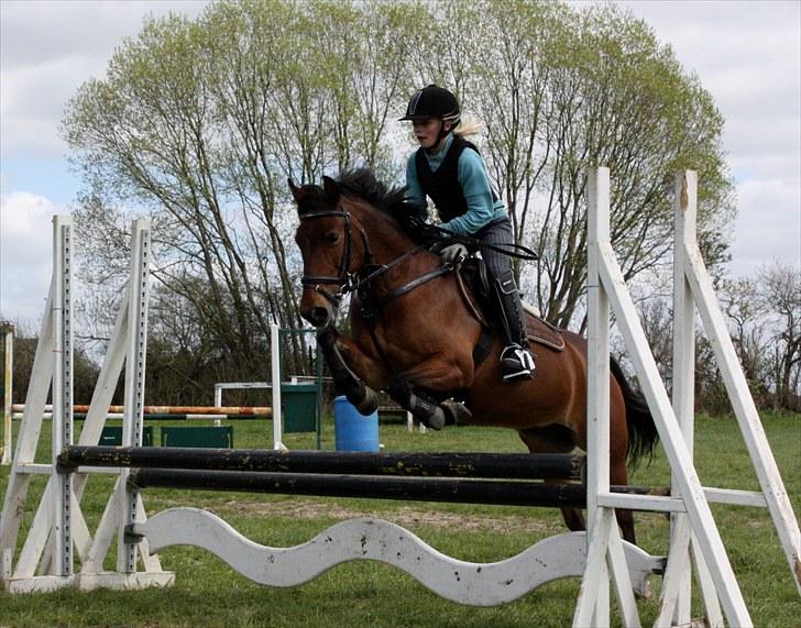 Svensk Sportspony  Ainée B-pony. Solgt! - mig og Ainée til træning på SØR:D billede 1
