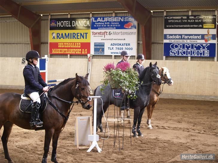 Svensk Sportspony  Ainée B-pony. Solgt! - præmieoverrakkelse på den smukke:) billede 6