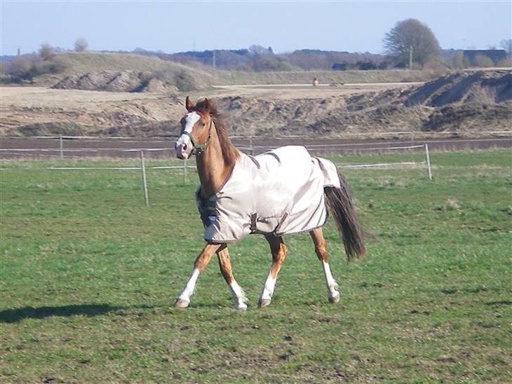 {{currentPhoto.altText}} billede {{currentPhoto.number}}