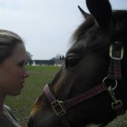 Oldenborg Sokhøj´s Mystique