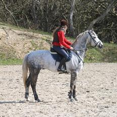 Anden særlig race Loughnatousa Inksy