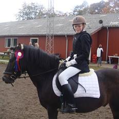 Anden særlig race Rocky *gl låner*<3