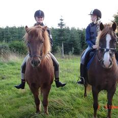 Isl&#230;nder Vignir 