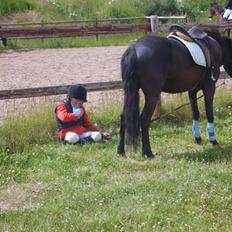 Dartmoor felixgårds sascha