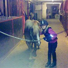 Anden særlig race Speedy´s Laban 