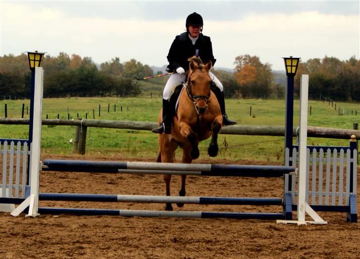 Anden særlig race Seven - wee : foto daddie billede 18