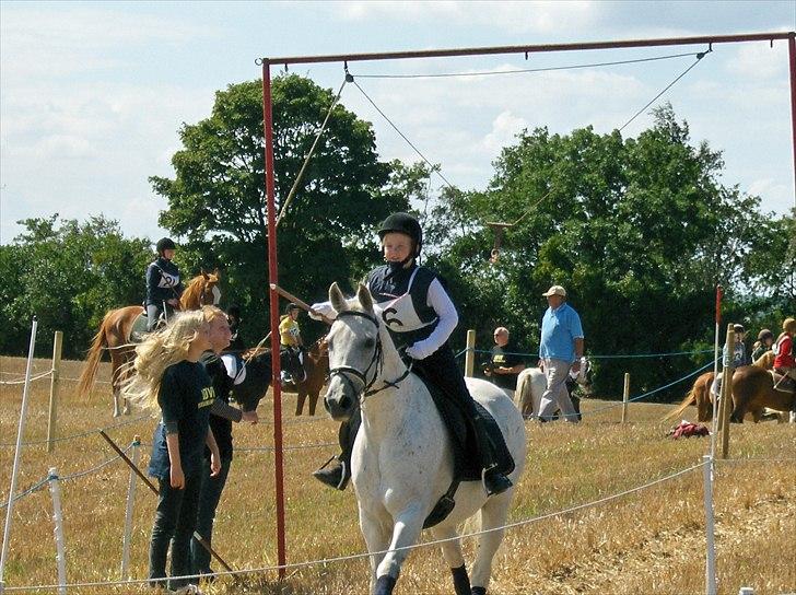 Anden særlig race Unihorse Zar RIP d.6/4-10 billede 10