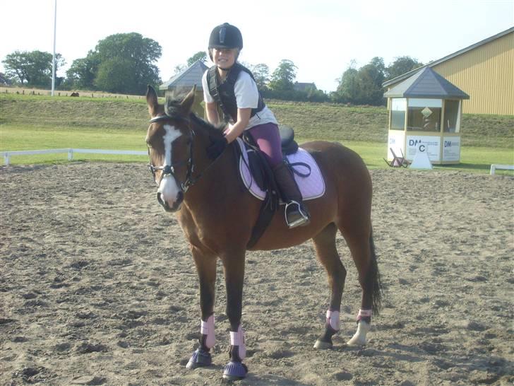 DSP Diba - Maja og Diba før spring. billede 12