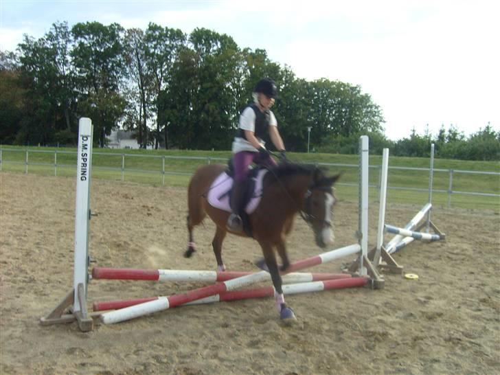 DSP Diba - Over springet ;-) billede 13