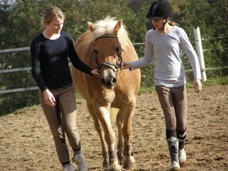 Haflinger Donmira TIDLIGER hel-part - Mira, Cecilie og mig <3 billede 5