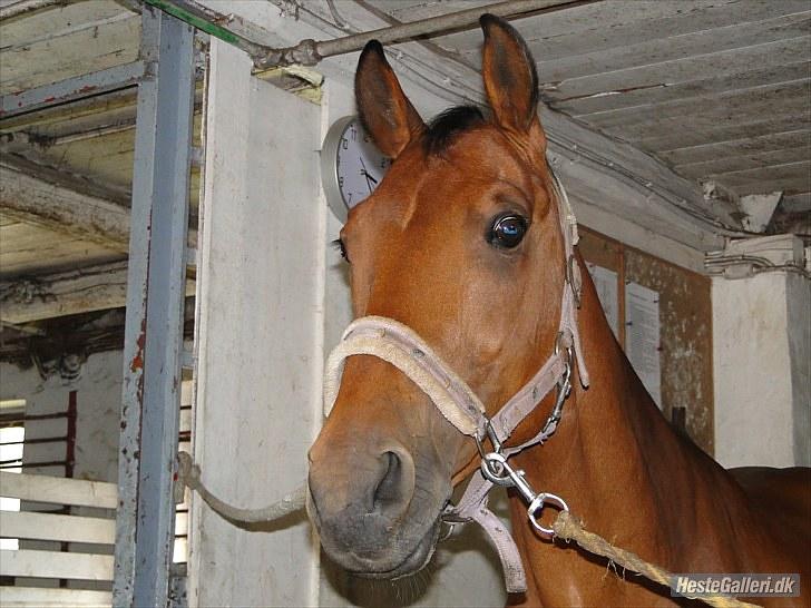 DSP Cherrie<3  - 1* Velkommen til cherrie´s profil :D billede 1