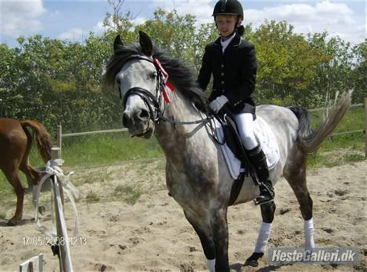 Sportsaraber (A) »|Lysholms Silvado|« 28/7 - 11 15:51    †    R.I.P - Vores første udenklubs stævne sammen - [SiLVADO ER NUMMER 1]<3 billede 3