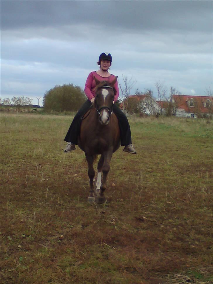 Anden særlig race Kiaya - Mor og prinsesse uden sadel... Jow jow, det lykkedes at tilride den bestemte dame... Dejligt!!! billede 17