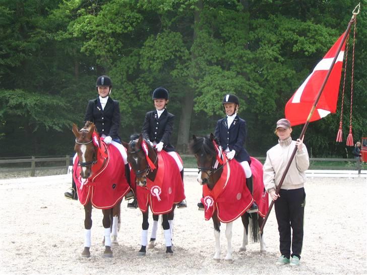 DSP Rob Roy - DISM Individuelt (Vinder:b) billede 15