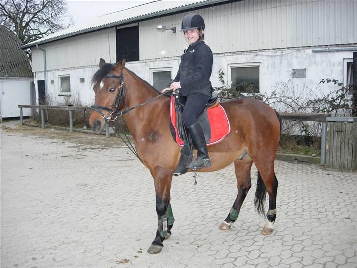 Anden særlig race Rudolph - Tidl springpart - På vej til undervisning billede 7