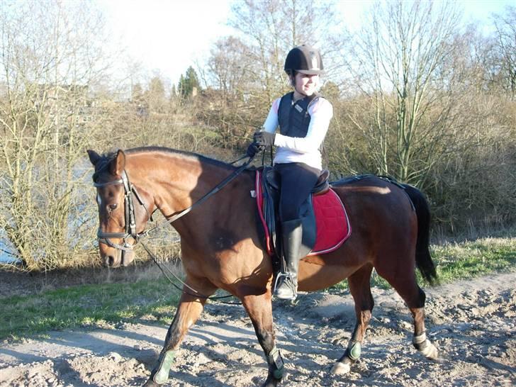 Anden særlig race Rudolph - Tidl springpart - En hård time er slut - endelig. Skridter af ned af markvejen billede 8