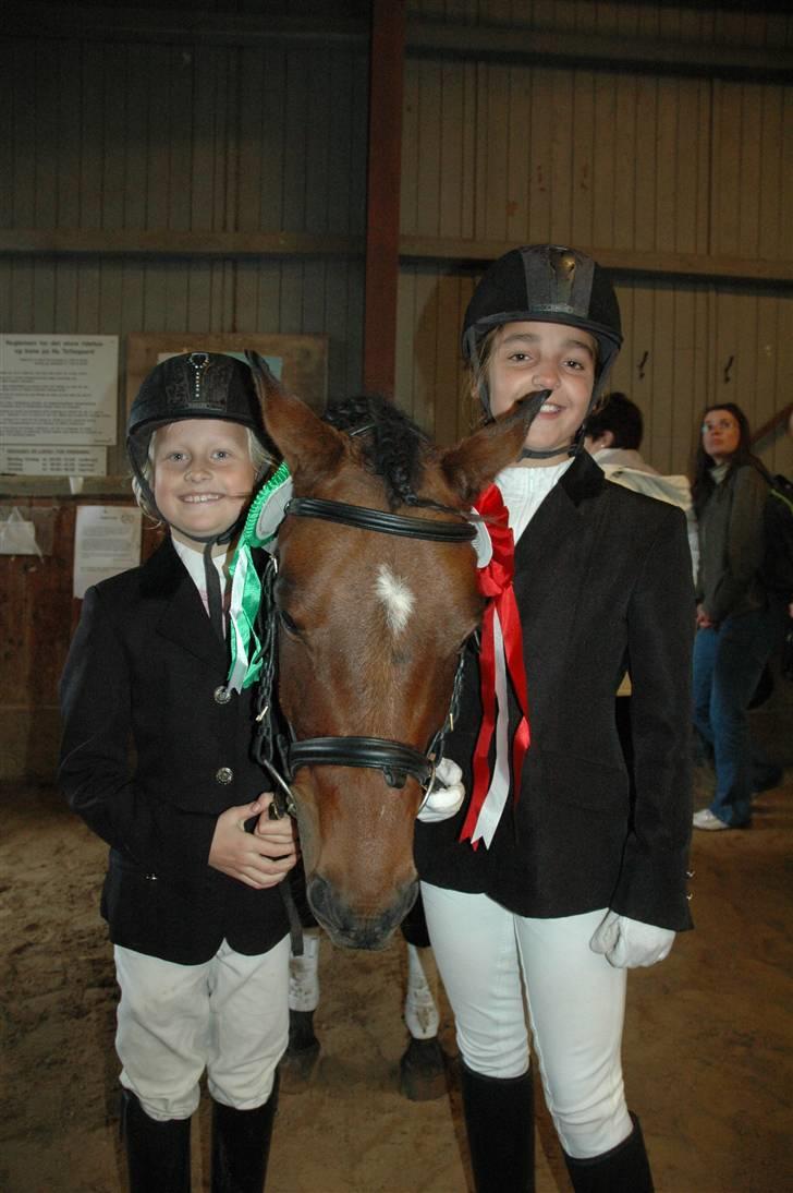 Anden særlig race Rudolph - Tidl springpart - Mig og min veninde med præmieponyen Ruddi. Han blev nr. 1 og 3 i sin klasse. billede 10