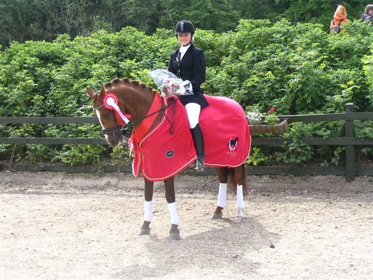 DSP Rob Roy billede 16