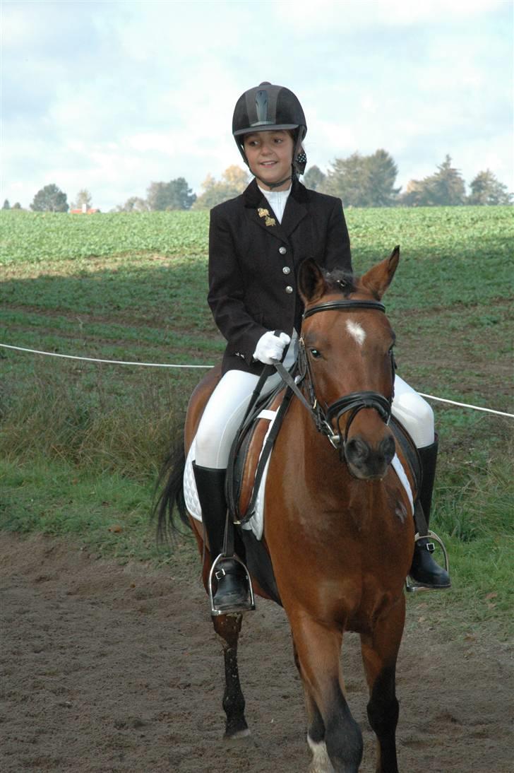 Anden særlig race Rudolph - Tidl springpart - Udvidet klubstævne i Folehaven billede 11