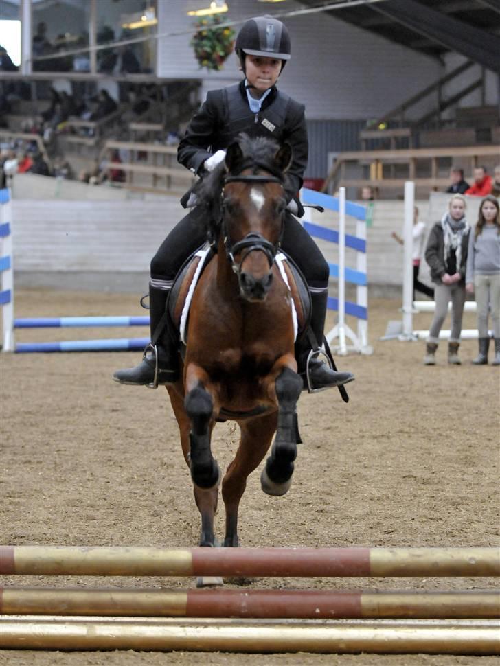 Anden særlig race Rudolph - Tidl springpart - Yee-haw, så skal der springes og det skal BARE gå stærkt billede 16