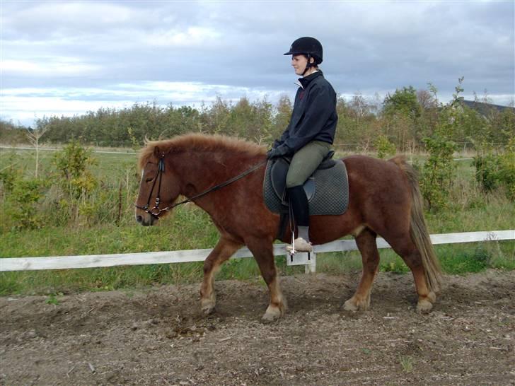 Islænder Fjölvi  billede 1