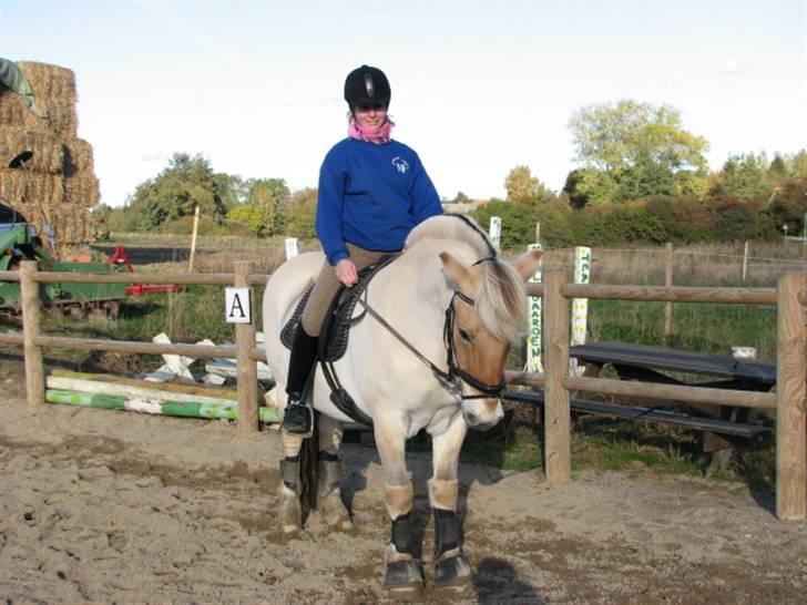 Fjordhest Per - Der er han ny klippet :D billede 16