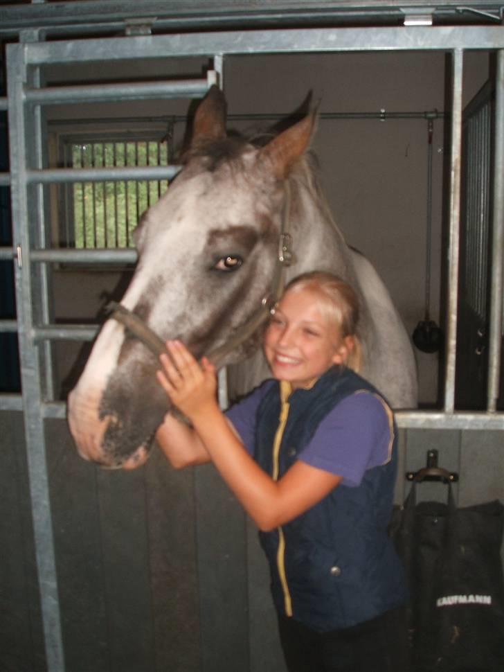 Anden særlig race leifi billede 3