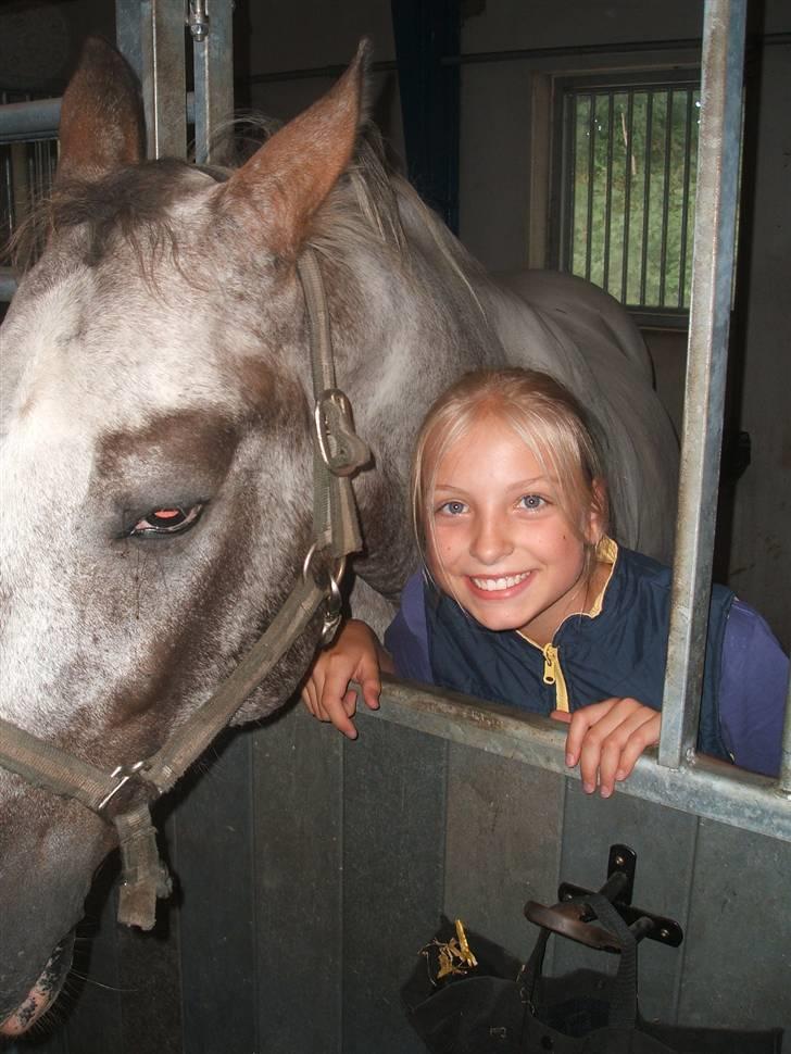 Anden særlig race leifi billede 4