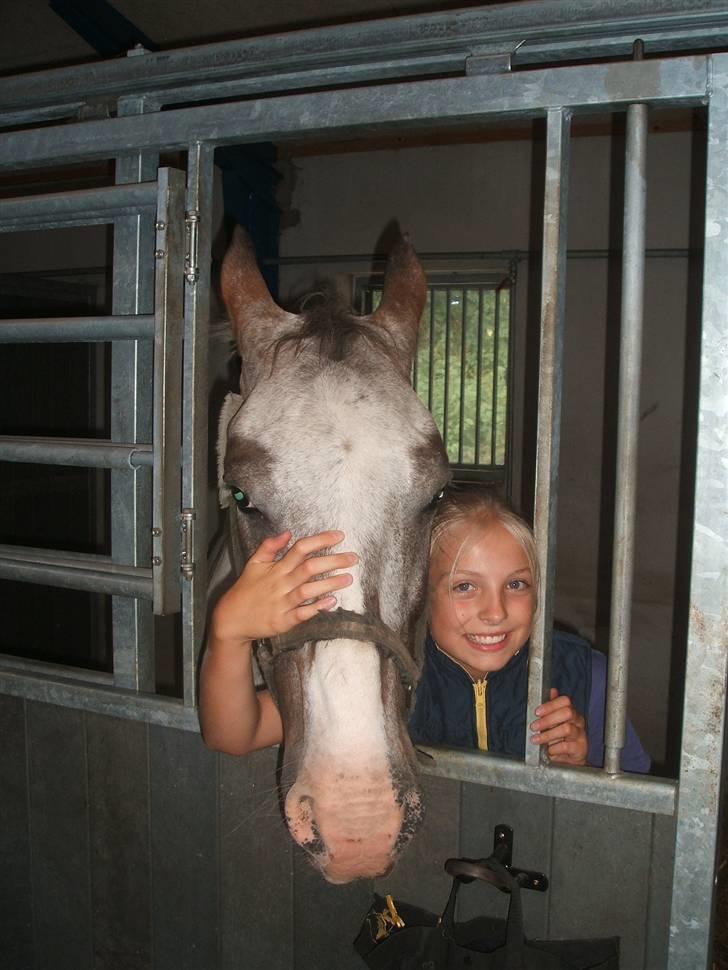 Anden særlig race leifi billede 5