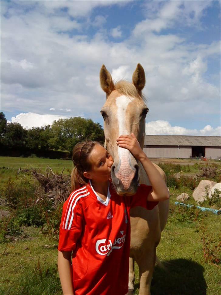 Anden særlig race Mulle billede 9