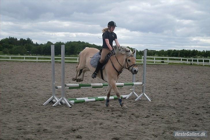 Fjordhest EMINENT (Emma) - Spring over Oxer:) Foto: Nadia billede 19