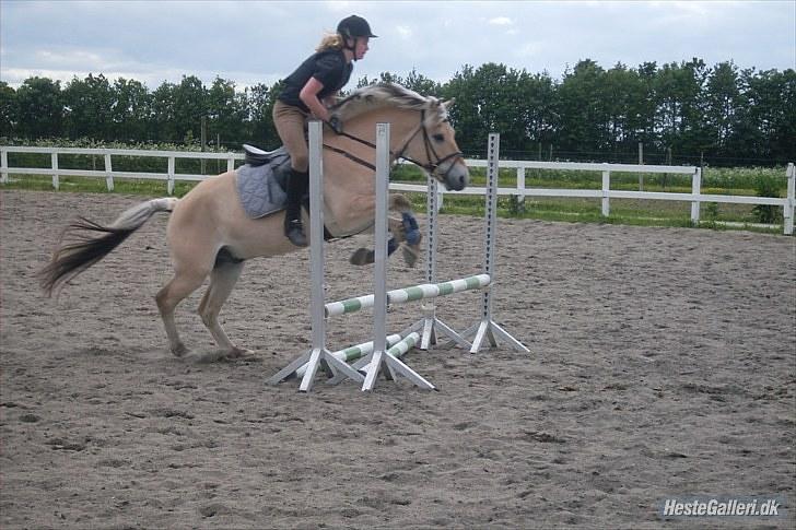 Fjordhest EMINENT (Emma) - Spring over oxer;) Han ser lidt tyk ud :p Foto: Nadia<3 billede 20