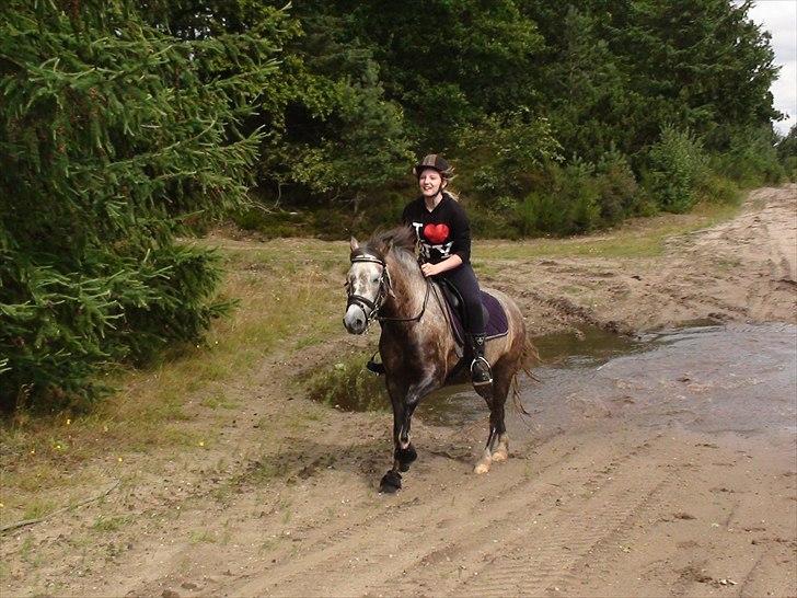 Anden særlig race Destiny* Dessa*  - Mig og lækre Dessa, i finderup :D Galop i skoven med sjove vandpytter :D Vi red sammen med MiaMadonne (min) Og Jeanne keller og Donna :D Og hendes ven ;) billede 3