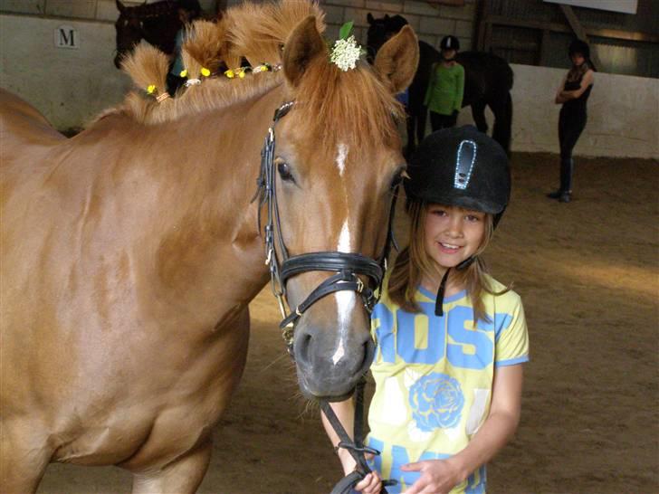 Anden særlig race Hedegaardens Tessa - til ridelejr 2009 billede 8