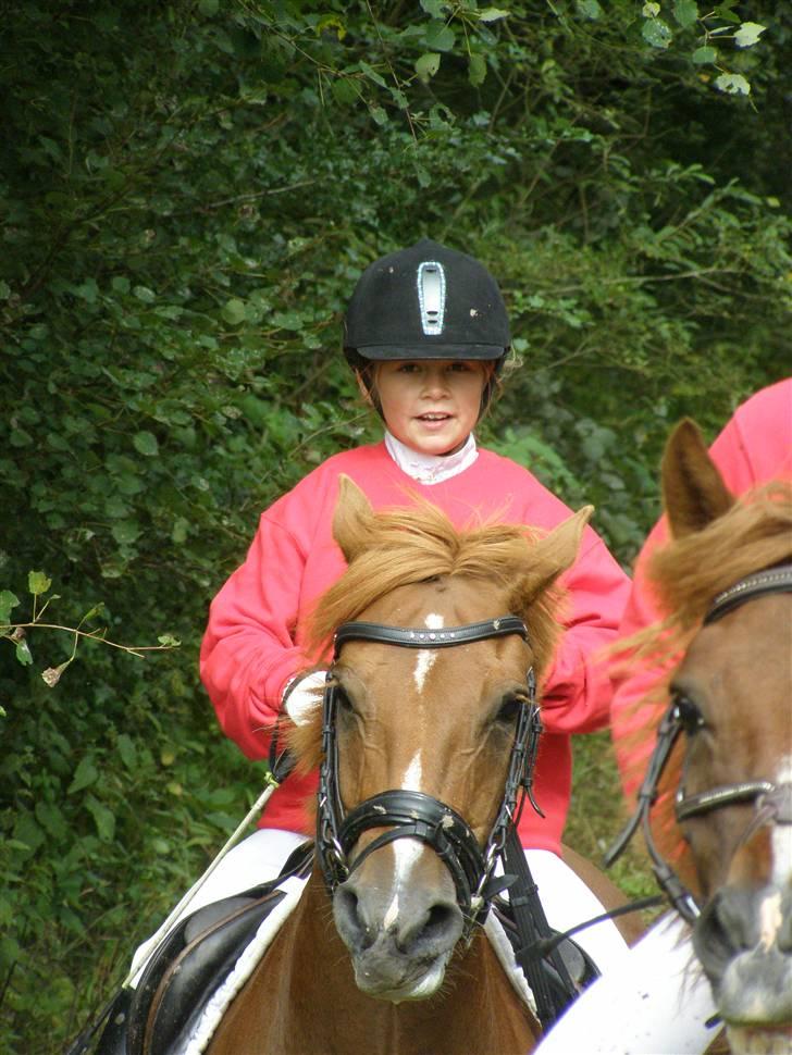 Anden særlig race Hedegaardens Tessa - Schackenborgjagt 2009 billede 11